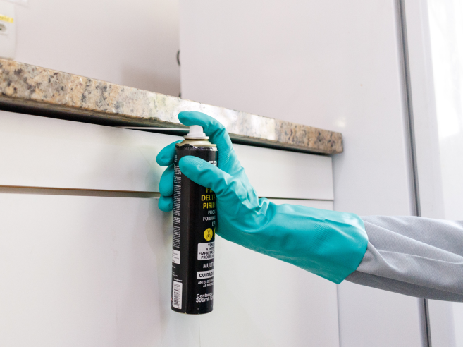 Mão espirrando inseticida